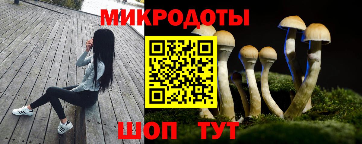 Красноармейск  Галлюциногенные грибы MAGIC MUSHROOMS  Вход с VPN 